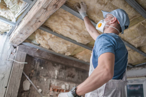 Insulation Repair Services in Enoch, UT